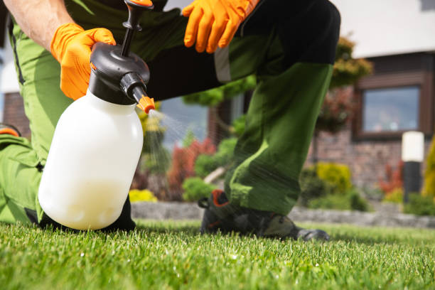 Best Emergency Pest Control  in Posen, IL