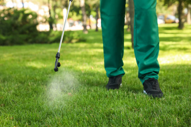 Best Termite Control Services  in Posen, IL