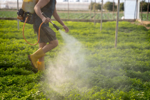 Best Affordable Pest Control Services  in Posen, IL