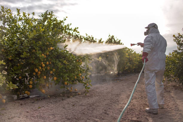 Best Pest Removal Services  in Posen, IL